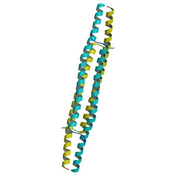 The tetramer structure of the nervy homolgy two (NHR2) domain of AML1-ETO is critical for AML1-ETO'S activity (1WQ6)
